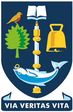 MSc Psychology university 1